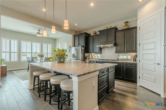 309 Hopping Peach Street, San Marcos, TX 78666