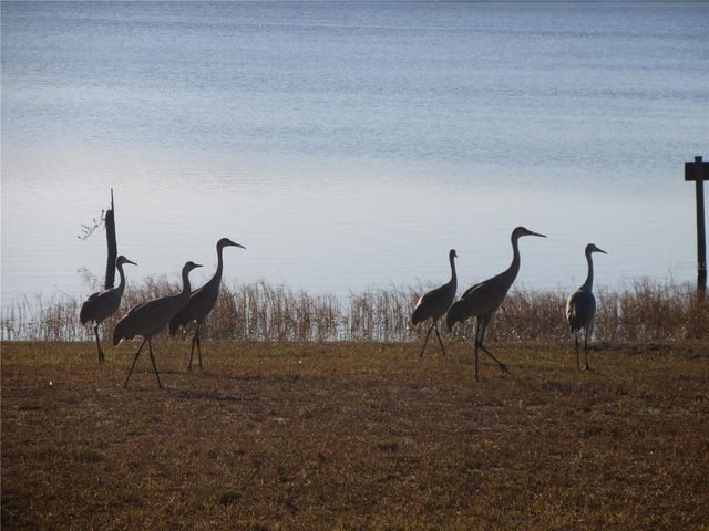 1984 SE 171ST COURT, Silver Springs, FL 34488