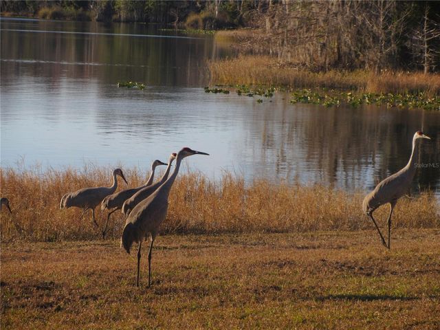 1984 SE 171ST COURT, Silver Springs, FL 34488