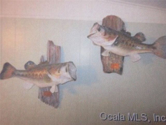 1984 SE 171ST COURT, Silver Springs, FL 34488