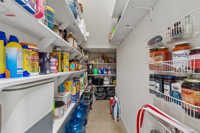 10623 MISTFLOWER LANE, Tampa, FL 33647