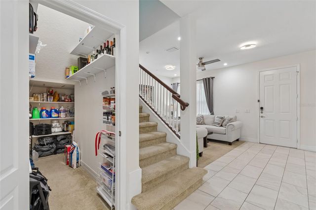 10623 MISTFLOWER LANE, Tampa, FL 33647