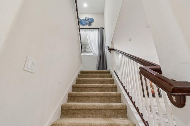 10623 MISTFLOWER LANE, Tampa, FL 33647