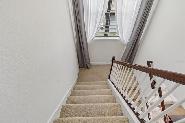 10623 MISTFLOWER LANE, Tampa, FL 33647