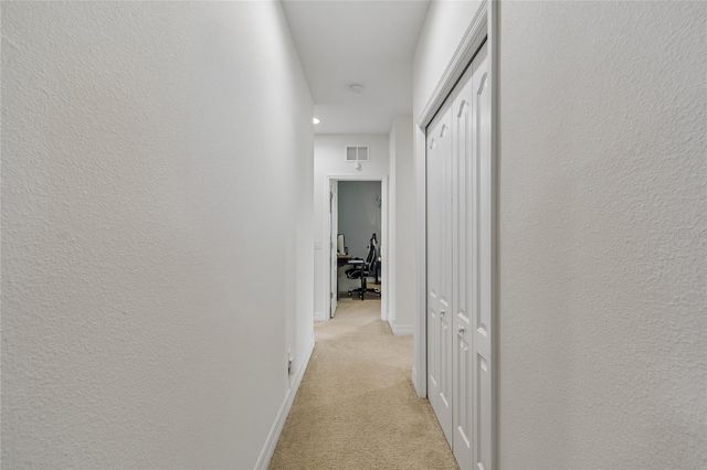 10623 MISTFLOWER LANE, Tampa, FL 33647