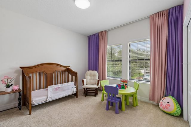 10623 MISTFLOWER LANE, Tampa, FL 33647