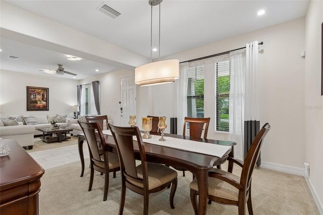 10623 MISTFLOWER LANE, Tampa, FL 33647