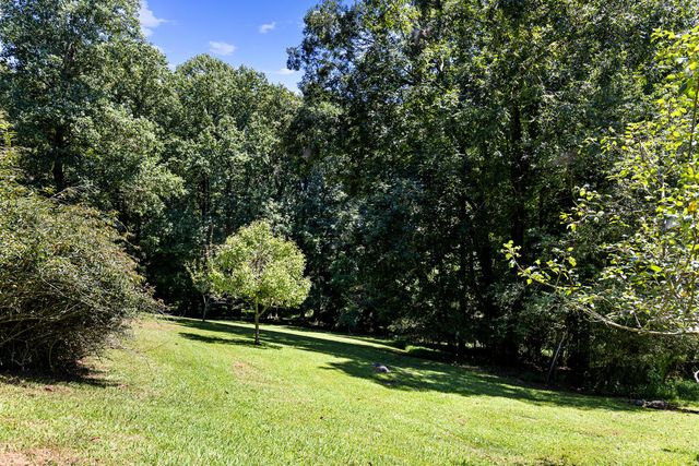 104 Blue Mountain Lane, Ellijay, GA 30536