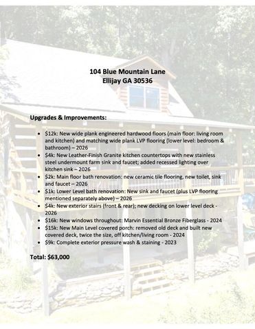 104 Blue Mountain Lane, Ellijay, GA 30536