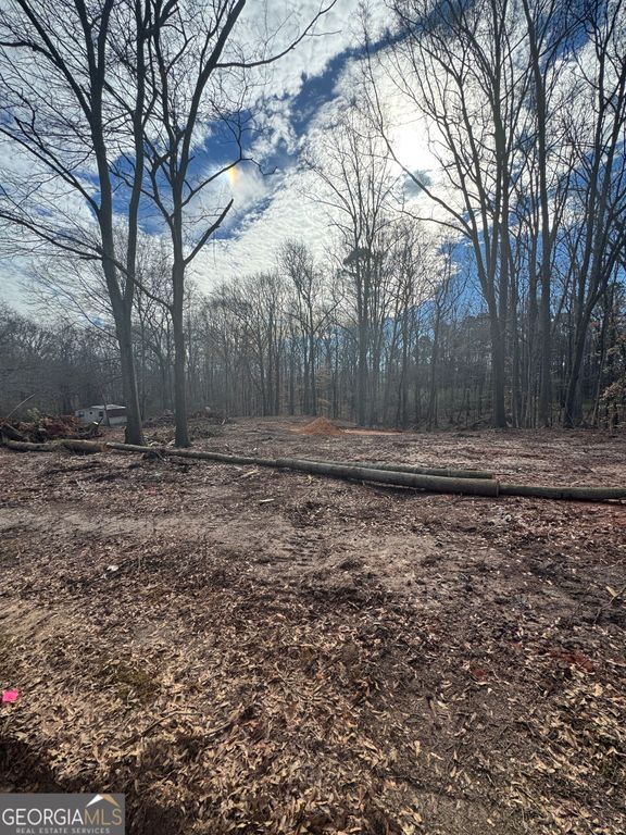 260 Roosevelt Circle, Bowman, GA 30624 — exterior