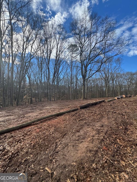 260 Roosevelt Circle, Bowman, GA 30624 — photo 2