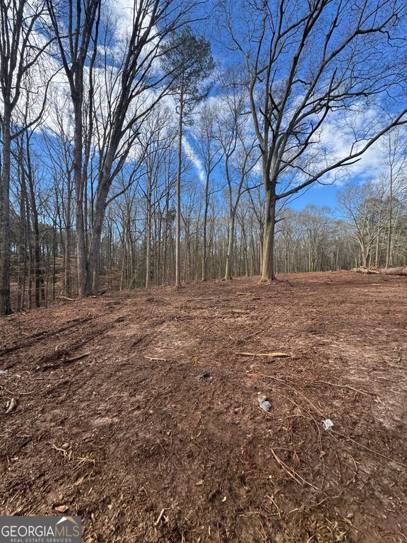 260 Roosevelt Circle, Bowman, GA 30624 — photo 3
