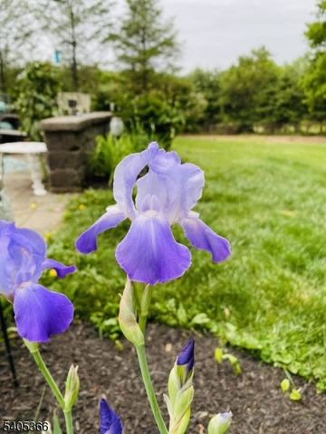 15 Dorset Dr, Mount Olive Twp., NJ 07840