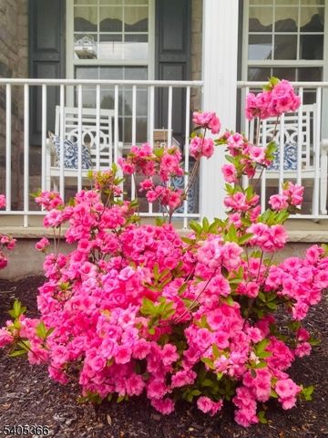 15 Dorset Dr, Mount Olive Twp., NJ 07840