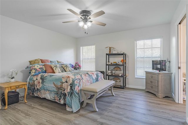 1343 CR 437, Lake Panasoffkee, FL 33538