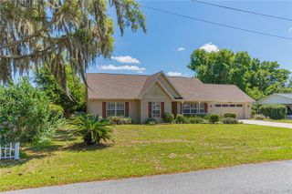 1343 CR 437, Lake Panasoffkee, FL 33538