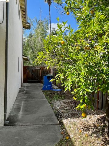 40249 San Sebastian Pl, Fremont, CA 94539