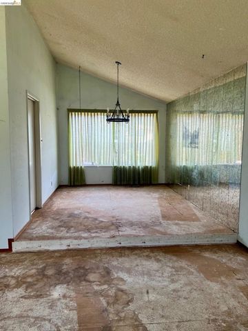 40249 San Sebastian Pl, Fremont, CA 94539