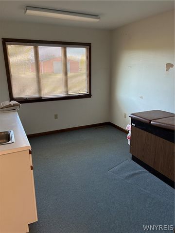 3916 Long Bridge, Albion, NY 14411