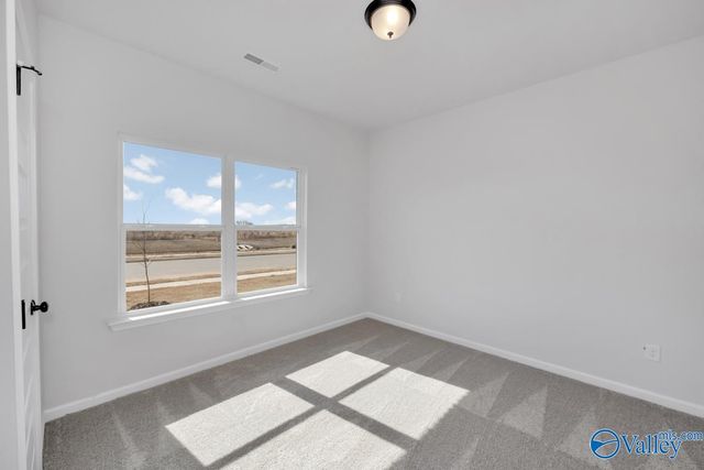 192 Mill Valley Way, New Market, AL 35761