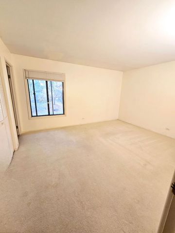 480 74th Street 203, Downers Grove, IL 60516