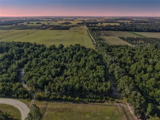 00 175TH AVENUE, Morriston, FL 32668