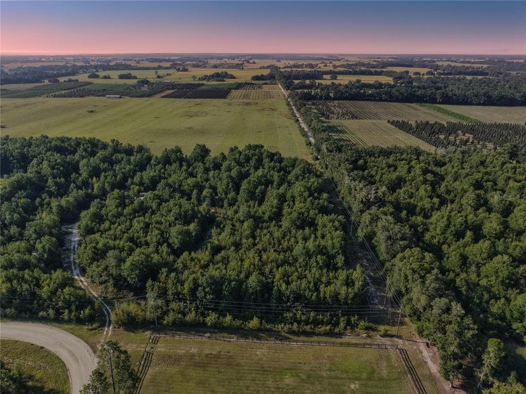 00 175TH AVENUE, Morriston, FL 32668