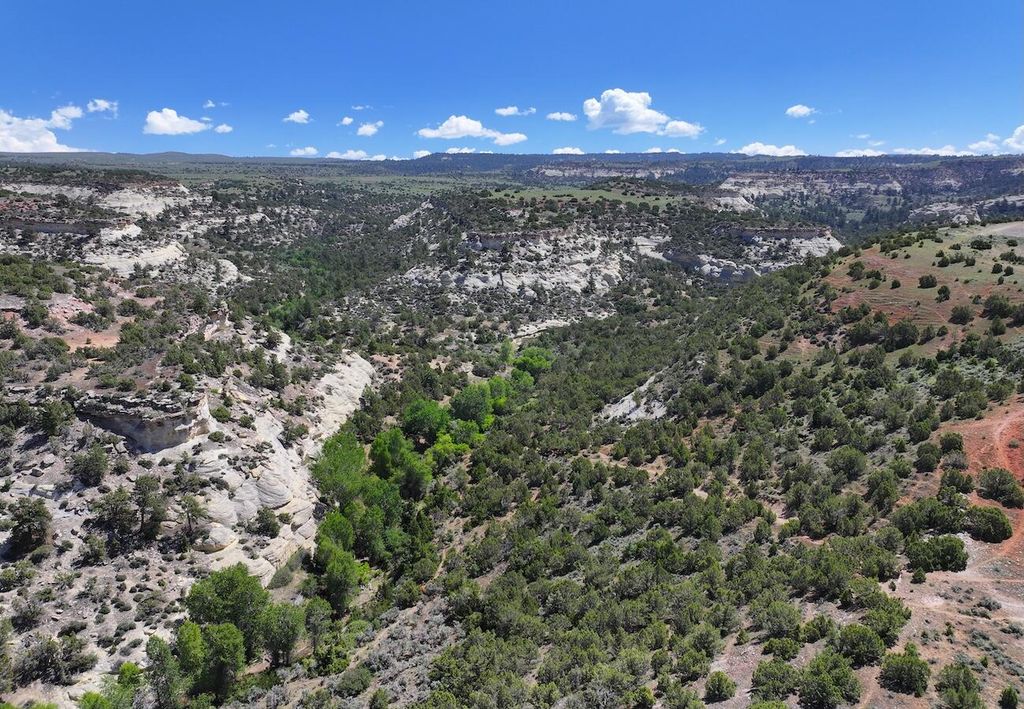 TBD, Hyattville, WY 82442 photo 14