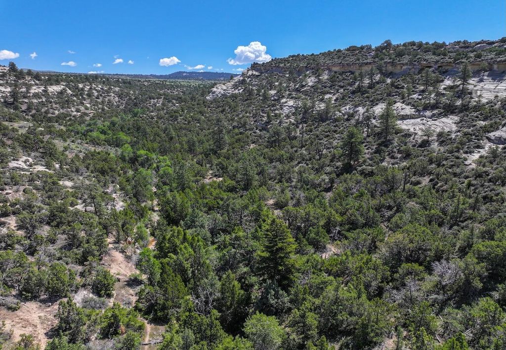 TBD, Hyattville, WY 82442 photo 16