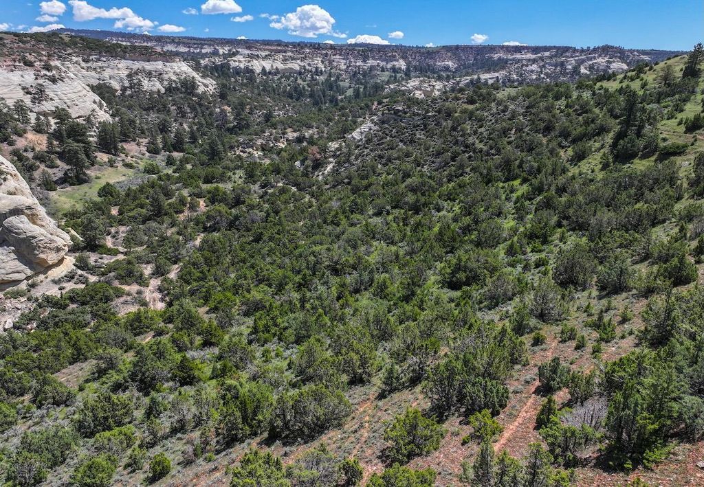 TBD, Hyattville, WY 82442 photo 19