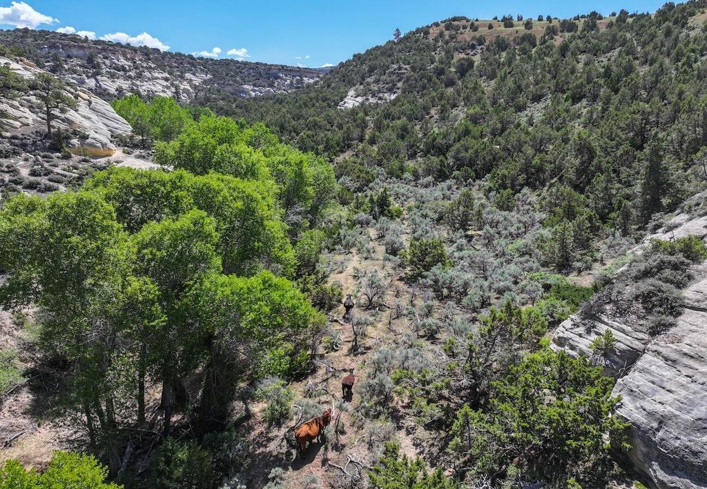 TBD, Hyattville, WY 82442 photo 23