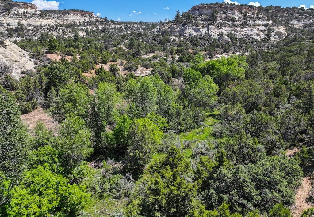 TBD, Hyattville, WY 82442 photo 24