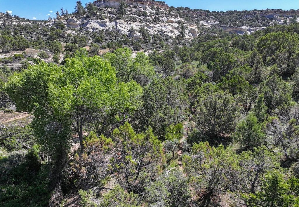 TBD, Hyattville, WY 82442 photo 25