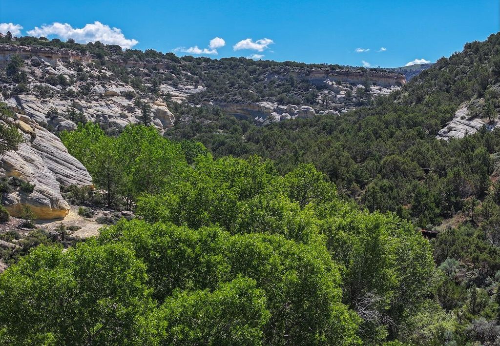 TBD, Hyattville, WY 82442 photo 33