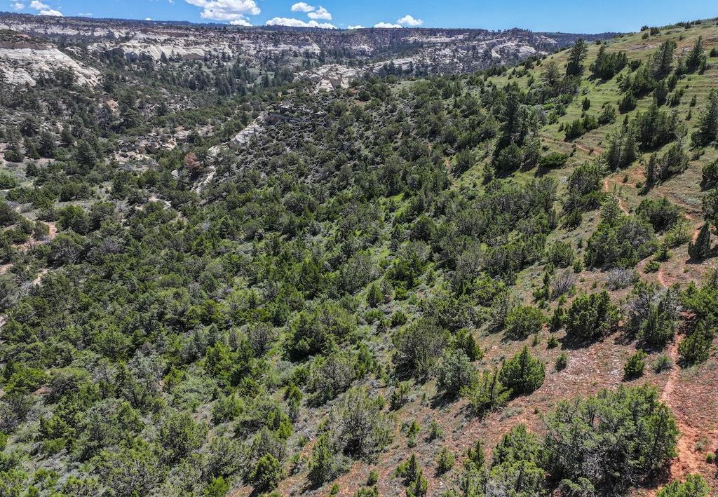 TBD, Hyattville, WY 82442 photo 38