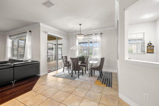 18754 BIRCHWOOD GROVES DRIVE, Lutz, FL 33558