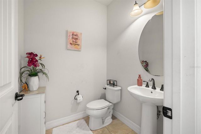 18754 BIRCHWOOD GROVES DRIVE, Lutz, FL 33558