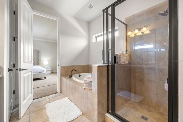 18754 BIRCHWOOD GROVES DRIVE, Lutz, FL 33558