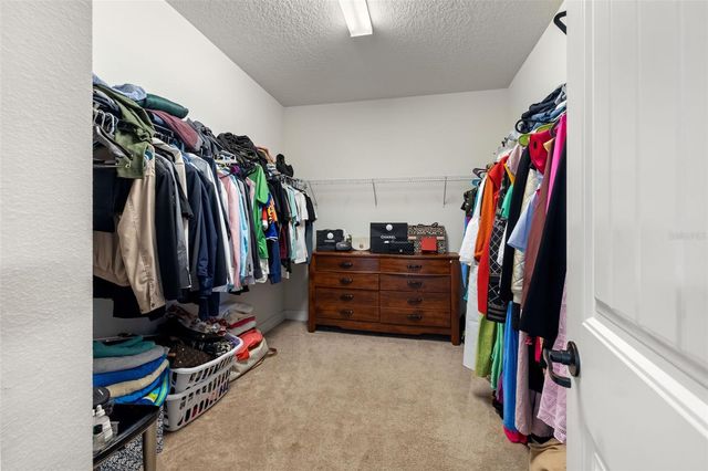 18754 BIRCHWOOD GROVES DRIVE, Lutz, FL 33558