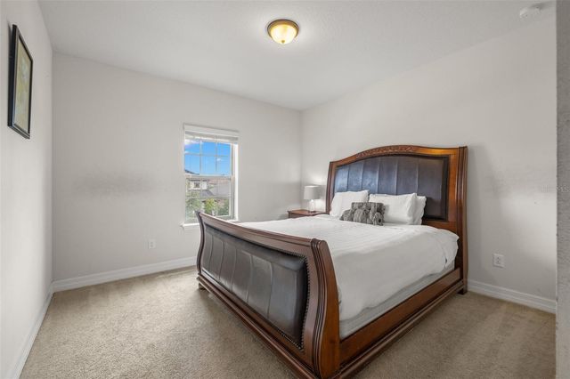 18754 BIRCHWOOD GROVES DRIVE, Lutz, FL 33558