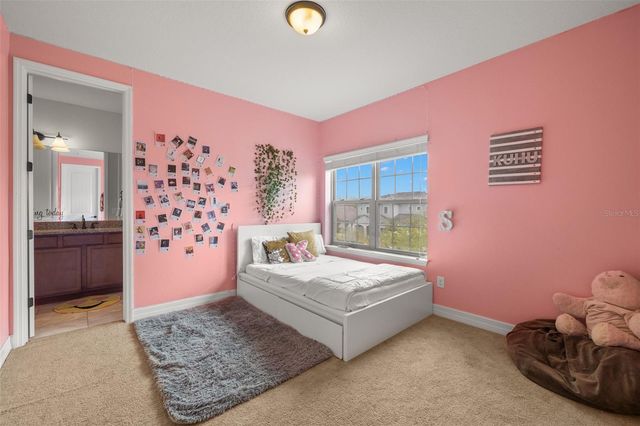 18754 BIRCHWOOD GROVES DRIVE, Lutz, FL 33558