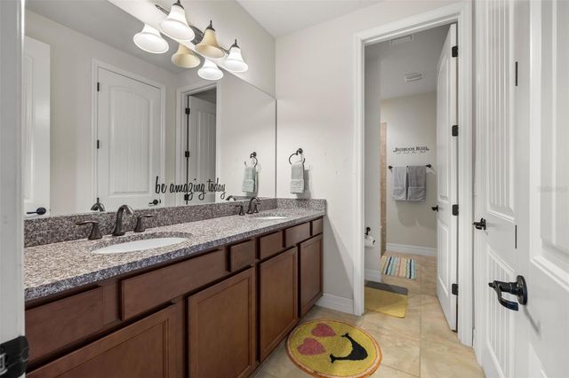 18754 BIRCHWOOD GROVES DRIVE, Lutz, FL 33558