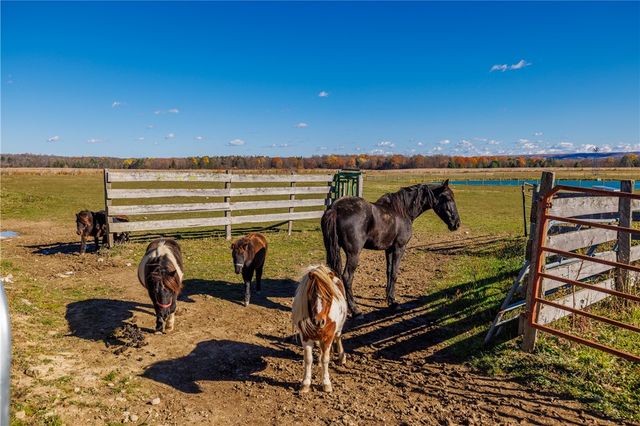 11742 Armison Road, Hume, NY 14735