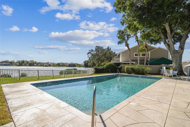 6916 LAKE PLACE COURT, Tampa, FL 33634