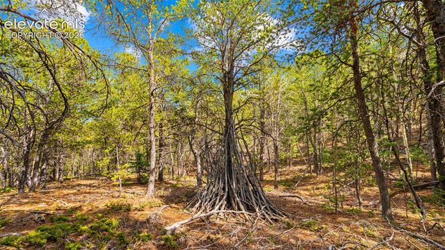 120 Elkhorn Drive, Woodland Park, CO 80863