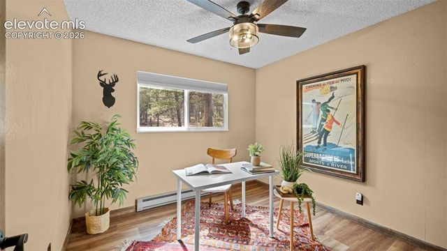 120 Elkhorn Drive, Woodland Park, CO 80863