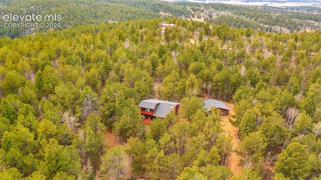 120 Elkhorn Drive, Woodland Park, CO 80863