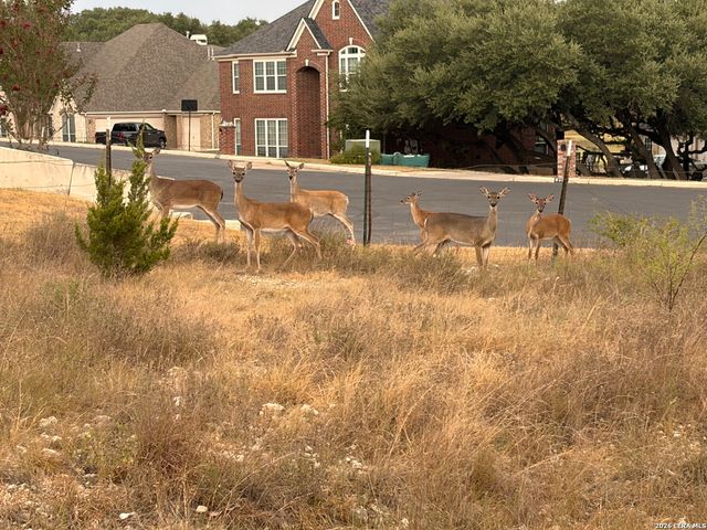 27915 LOKAYA FLS, Boerne, TX 78015