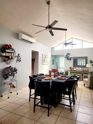 234 ZUMBADOR, Rio Grande, PR 00745