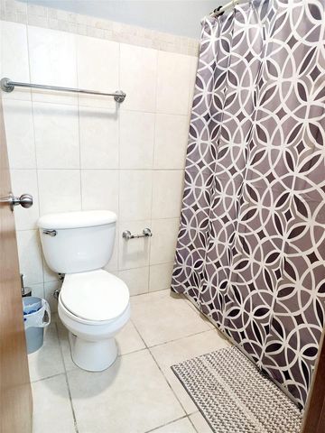 234 ZUMBADOR, Rio Grande, PR 00745